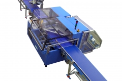 FV-Förderband-Verpackungsindustrie